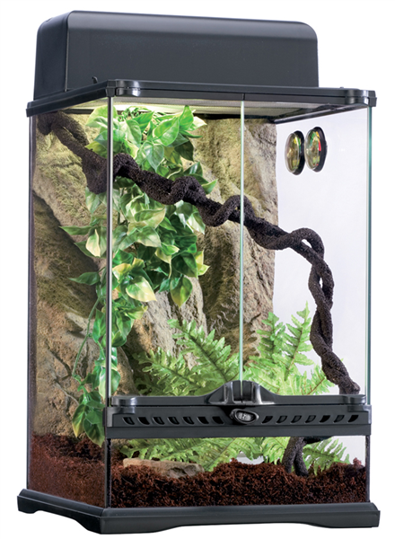 Exo-Terra Rainforest Habitat - Small (12" x 12" x 18")