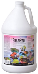 Hikari PraziPro Parasite Treatment 1 Gallon