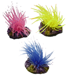 Anemone on Rock Resin Ornament 3 Color Pack