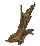 JBJ Malaysian Driftwood - X-Large 24" - 27"