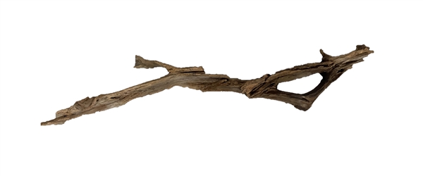 JBJ Malaysian Driftwood - 3XL Show 40" - 50"