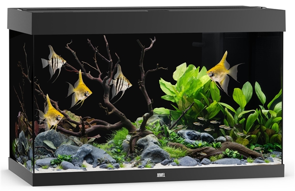 Juwel Rio 290 LED Aquarium System - Black