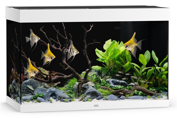 Juwel Rio 290 LED Aquarium System - White