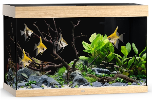 Juwel Rio 290 LED Aquarium System - Light Wood