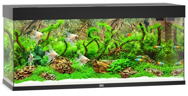 Juwel Rio 240 LED Aquarium System - Black