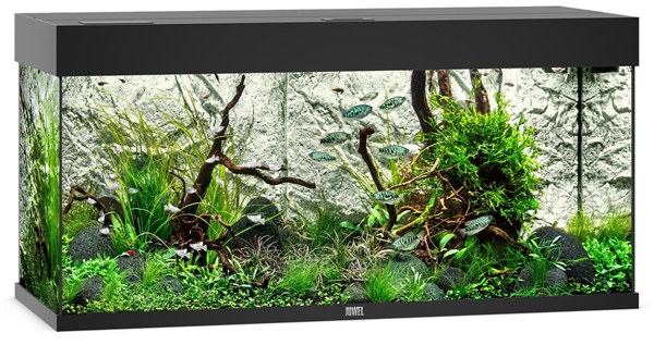 Juwel Rio 180 LED Aquarium System - Black