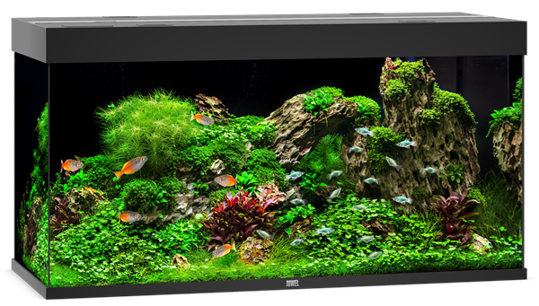 Juwel Rio 350 LED Aquarium System - Black