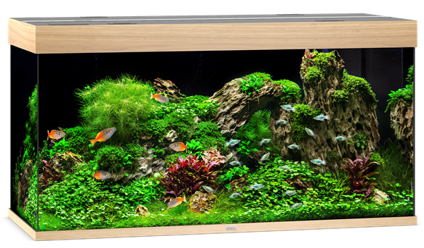 Juwel Rio 350 LED Aquarium System - Light Wood