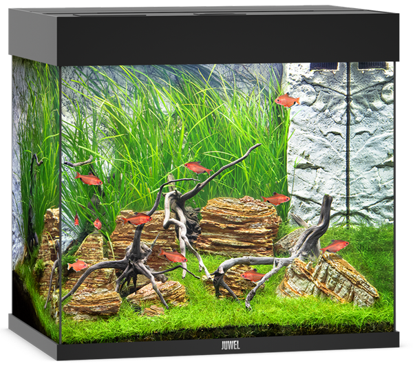 Juwel Lido 120 Aquarium System - Black