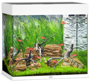 Juwel Lido 120 LED Aquarium System - White