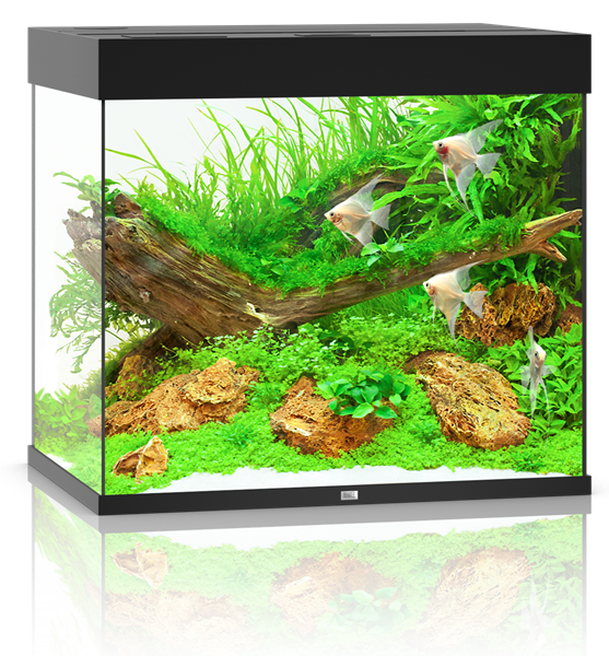 Juwel Lido 200 LED Aquarium System - Black