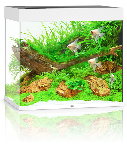 Juwel Lido 200 LED Aquarium System - White