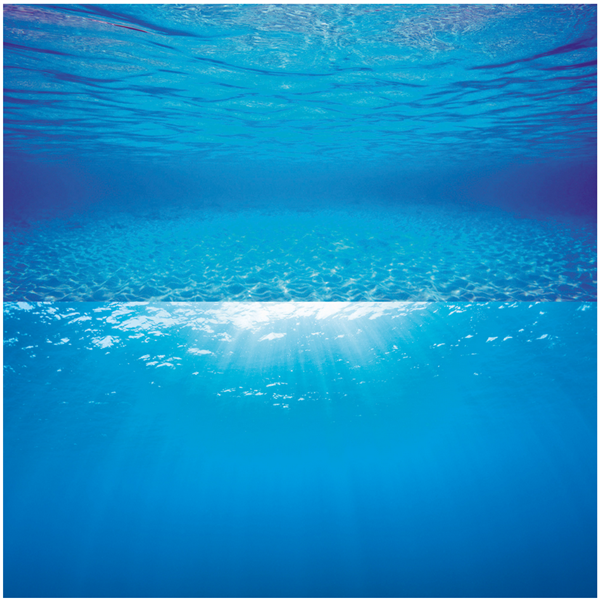 Juwel Poster 2 S - Underwater View Background