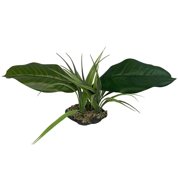 Komodo Woodland Canopy - 10"