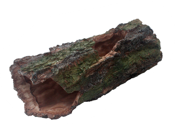 Komodo Forest Log - Large 9.5"