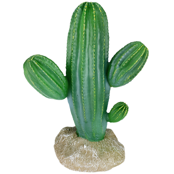 Komodo Saguaro Cactus - 9.5"
