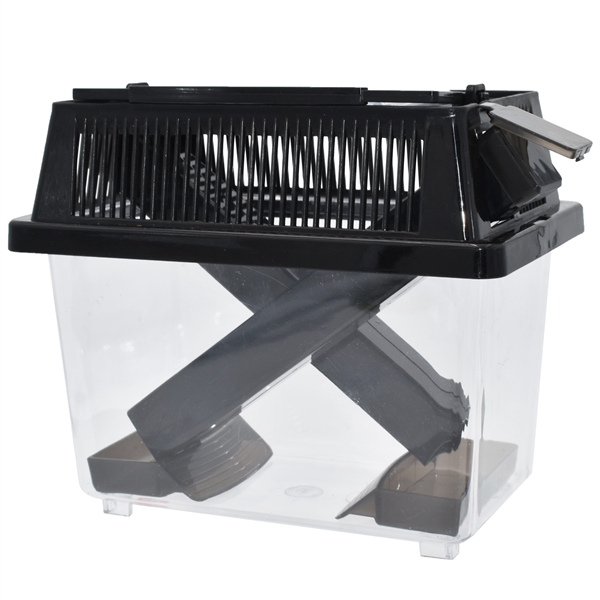 Komodo Cricket Keeper - Small