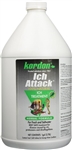 Kordon Ich Attack 1 Gallon