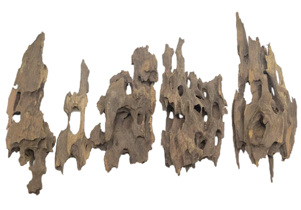 Dragon Wood Pack SM (4"-6")
