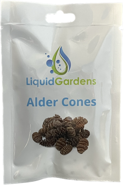 Liquid Gardens Alder Cones 25pk