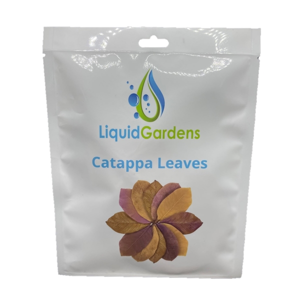 Liquid Gardens Catappa Leaves 10pk