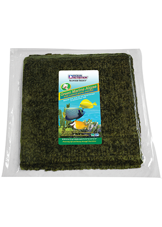 Ocean Nutrition Garlic Enriched Green Seaweed Bulk 50 Sheets