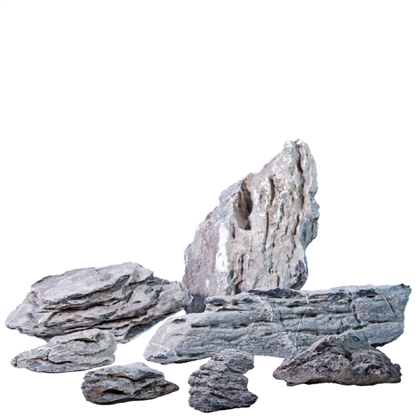 Pisces Seiryu Rock 40 lbs Box
