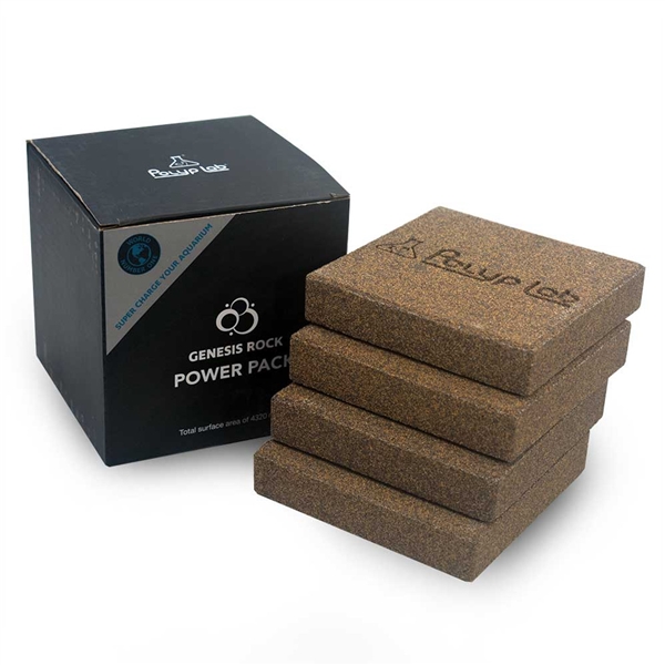 PolypLab Genesis Rock