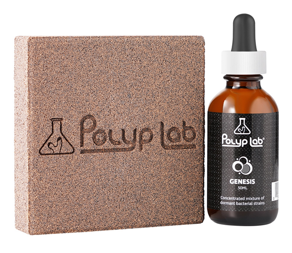 PolypLab Genesis Rock - 2 Pack w/ Genesis Booster Bottle