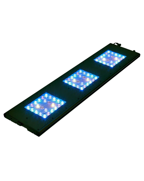 ReefBreeders Meridian 35 - Original