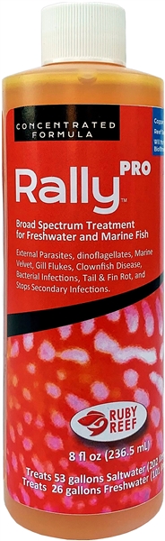 Ruby Reef Rally Pro 8oz