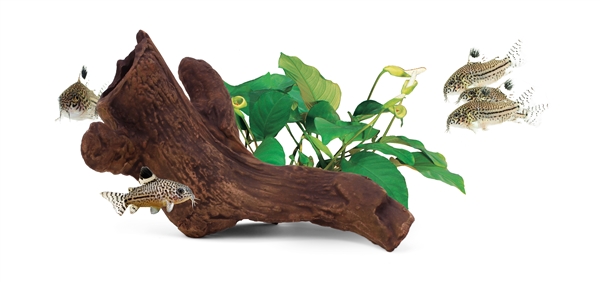 Seachem Aquavitro Ceramic Hide B2