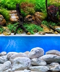 Seaview Aqua Garden/Brightstone 12"x50' Double Sided Background