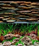 Seaview Slateways/Aqua Wild 12"x50' Double Sided Background