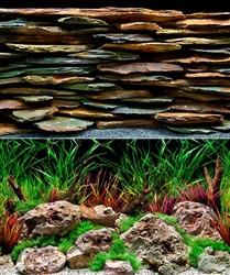 Seaview Slateways/Aqua Wild 12"x50' Double Sided Background