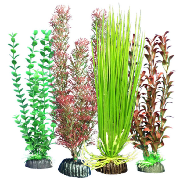 Freshwater Multipack Assortment 103