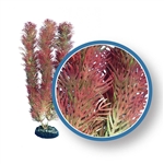 Weco Plant Red Cabomba 9"