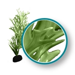Weco Plant Green Giant Kelp 12"