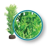 Weco Plant Bushy Kelp 18"