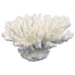 Weco Tabletop Coral White - XSmall