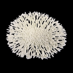 Weco Round Tabletop Coral White - Large