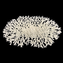 Weco Oval Tabletop Coral White - Large