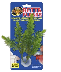 Zoomed Betta Plant - Salvia