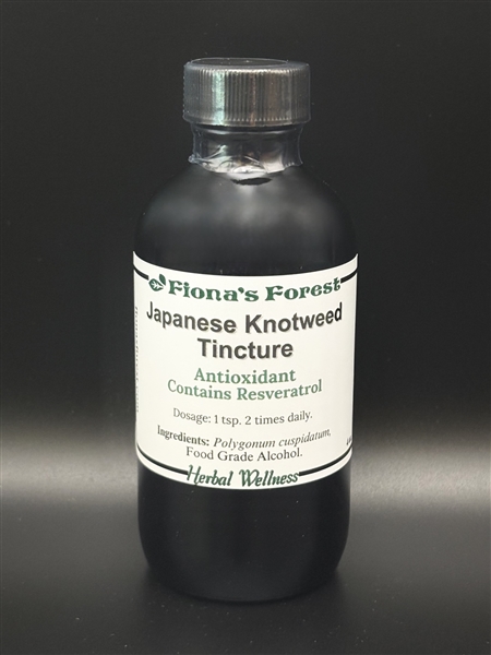 Japanese Knotweed Tincture
