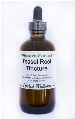 Teasel Root Tincture