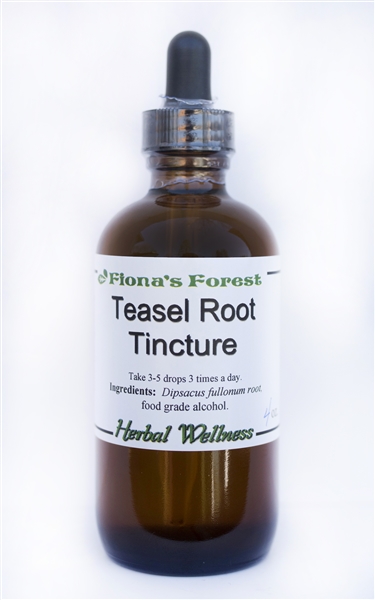 Teasel Root Tincture