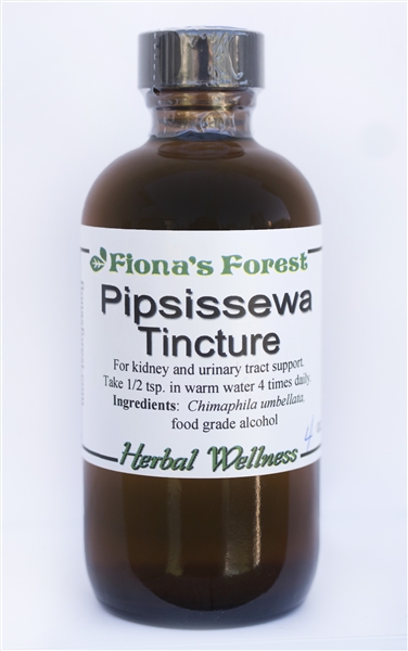 Pipsissewa Tincture