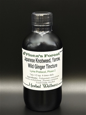 Japanese Knotweed/Yarrow/Wild Ginger Tincture