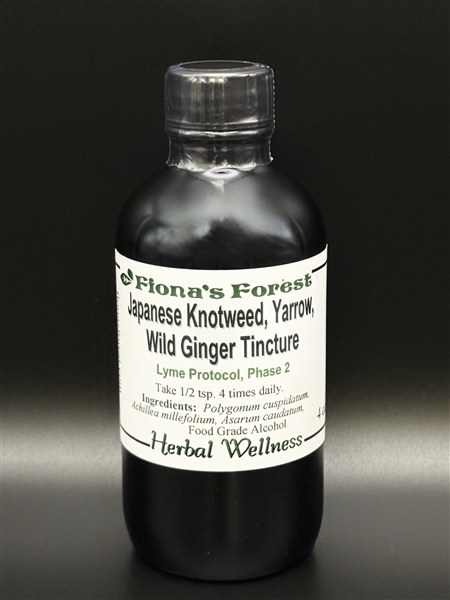 Japanese Knotweed/Yarrow/Wild Ginger Tincture