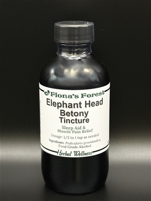 Elephant Head Betony Tincture